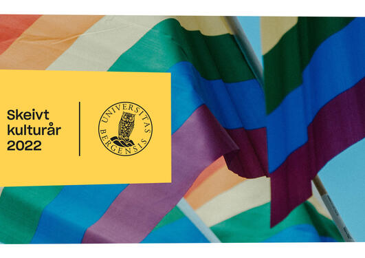 Illustrasjon med Pride-flagg og logo for skeivt kulturår og Skeiv Ugle-logo for UiB