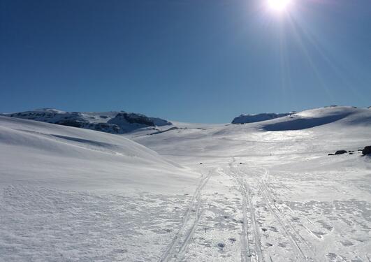 snowy landscape