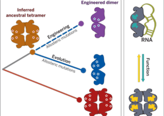 Summary image from Publication abstract