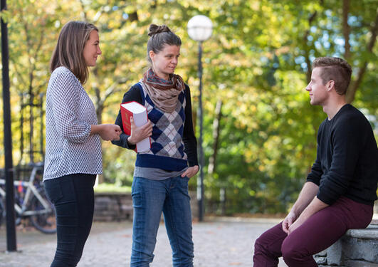 Tre studenter snakker sammen.