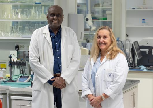 Kamal Mustafa and Cecilie Gjerde in the lab