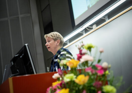 Norwegian diplomat Marianne Loe from the Norwegian Mission to the UN during her opening keynote at the 2019 Bergen Summer Research School on Monday 17 June.