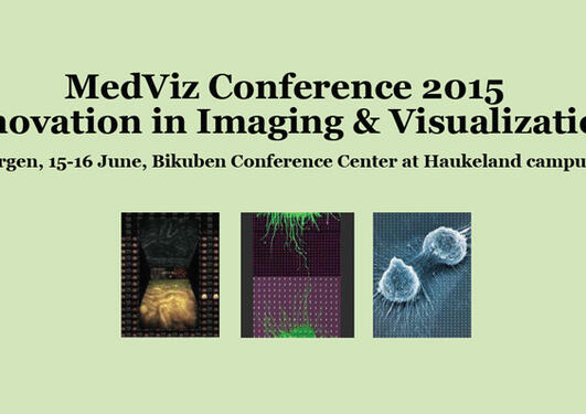 MedViz conference 2015