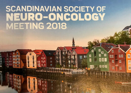 Scandinavian Society of Neuro-Oncology 2018