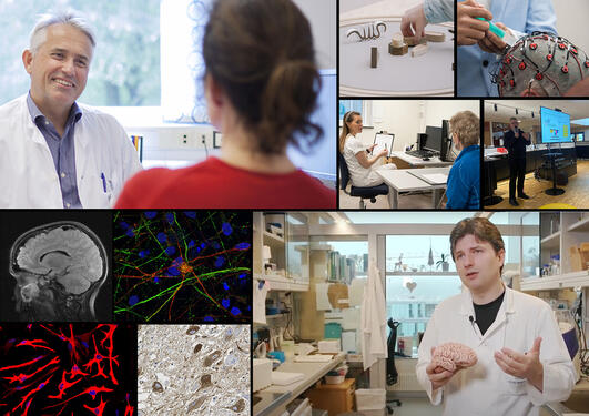 Collage from Neuro-SysMed activities.