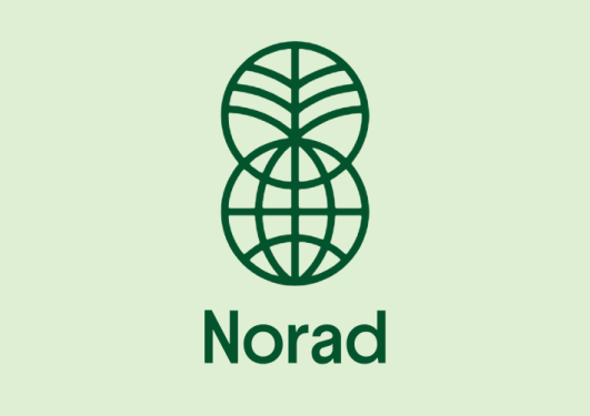 Logo NORAD