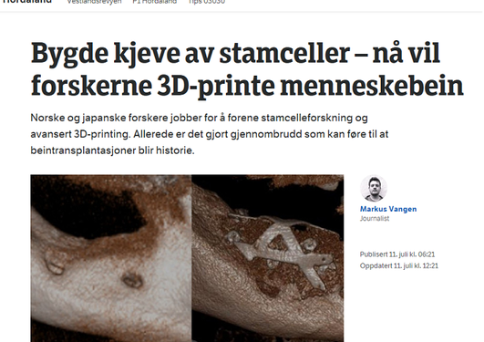 Printscreen nrk.no