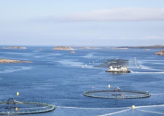 Bilde av akvakultur Frøya