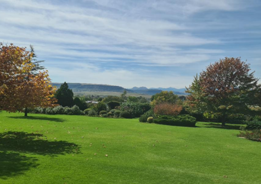 Landscape: green lawn, leafy treas and mountains in the distance. Blue sky with light clouds