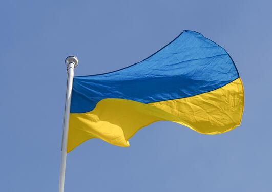 uibforklart ukraina flagg Torhild Dahl