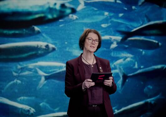 Scientific Director Lise Øvreås from Ocean Sustainability organised a special session on coastal communities at the SDG Conference Bergen in February 2021.