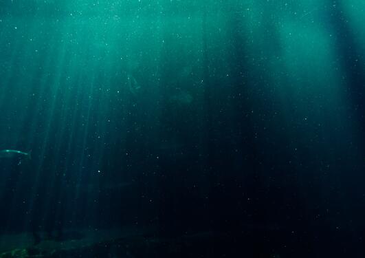 under vann