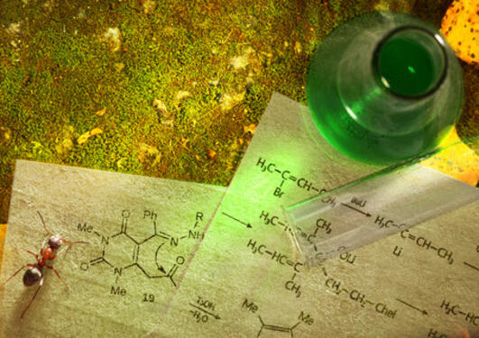Green chemistry with reaction formula on moss