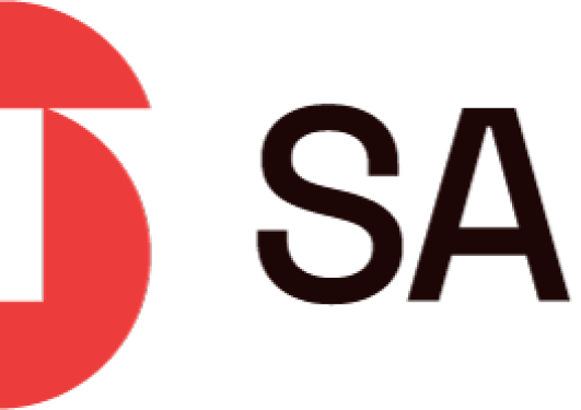 Logo for SAFE