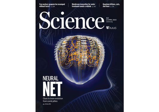 Cover of Science Journal