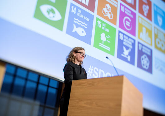 Vice Rector for Global Relations Annelin Eriksen, University of Bergen, closing the inaugural SDG Conference Bergen on 9 February 2018.