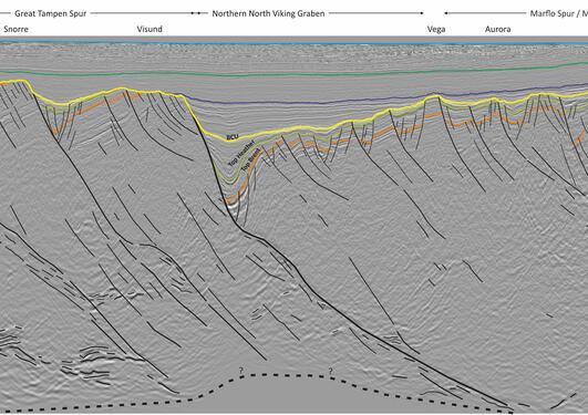 Seismic section