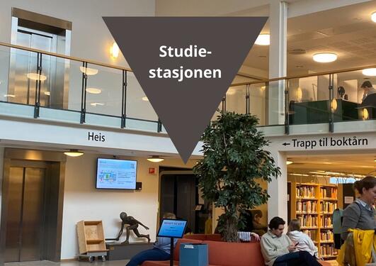 Bilde inne fra Bibliotek for humaniora. En pil viser hvor studiestasjonen er.