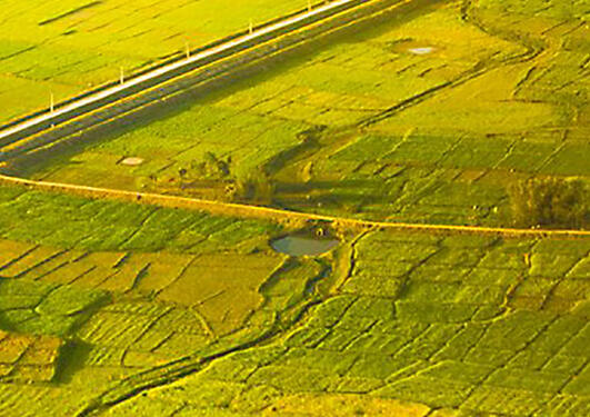 Field in Madhesh region in Nepal