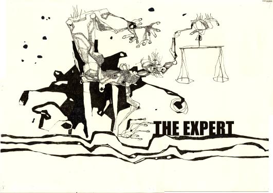 The expert