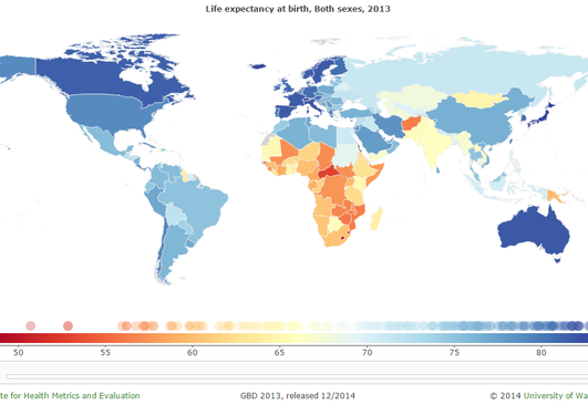 Visualization The Lancet - Global Burden of Diseases, Injuries, and Risk Factors Study 2013
