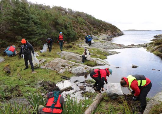 Plastrydding på Lisle Lyngøy