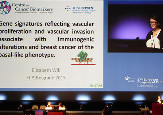 Elisabeth Wik holding a presentation at a pathology conference in 2015.