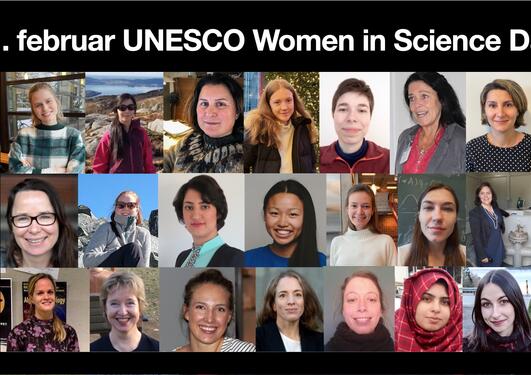 Kvinnelige vitenskapelige ansatte og studenter, MI 2021