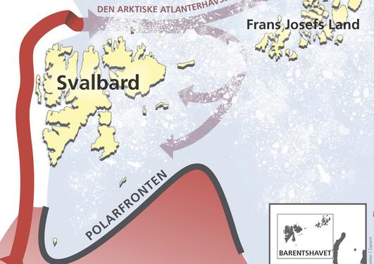 En varm dyp havstrøm kommer inn i Barentshavet fra nord. Strømmen er en gren...