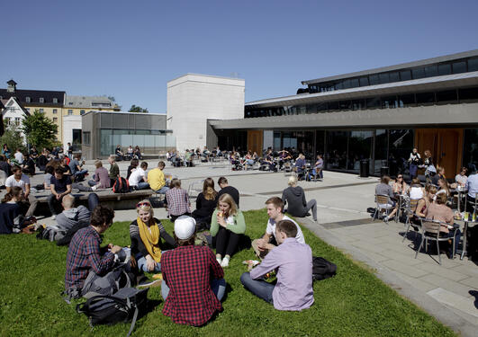 Stadig flere søker seg til realfagsutdanningen ved Universitetet i Bergen