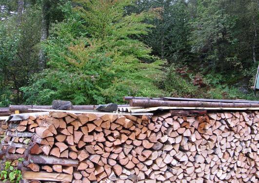In the foreground, a full cord of mixed, dry wood – in the background, a...