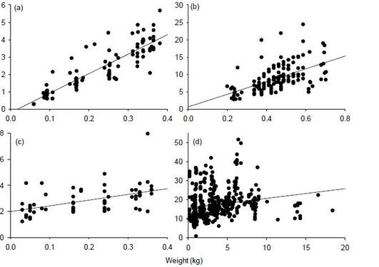 NSSH herring, mackerel, NS herring and cod in 2000-2010