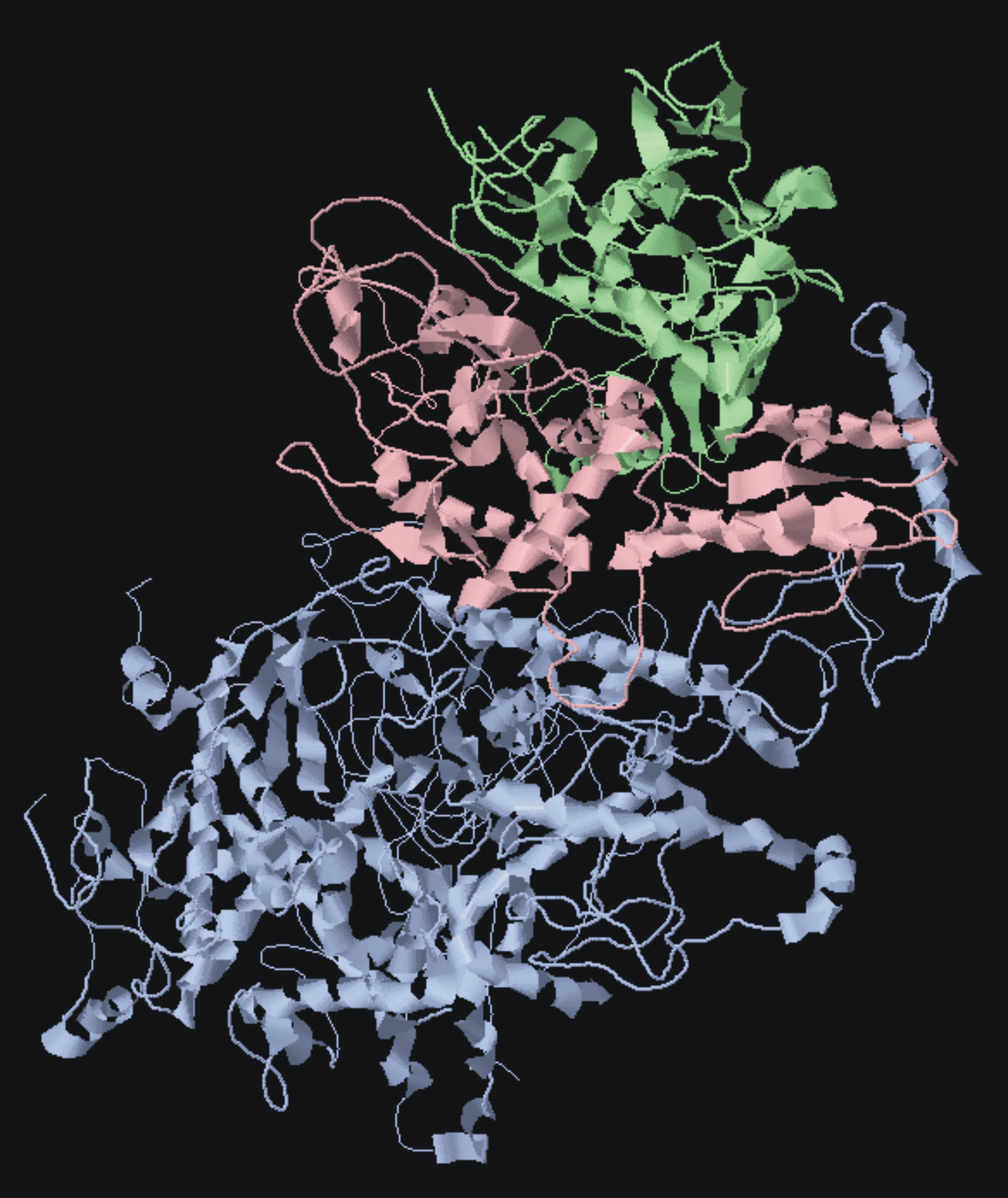 polymerase-gamma-polg-mitochondrial-medicine-neurogenetics-mmn